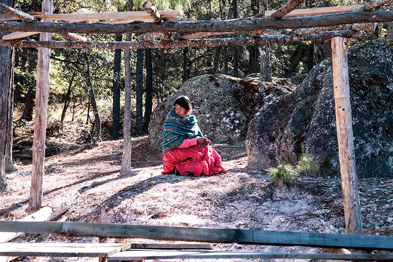 foto:Laura Minerva López Mora  - lo hecho en México