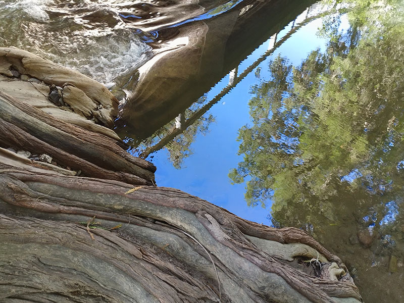 foto:Marco Antonio Rivera Martínez - lo hecho en México