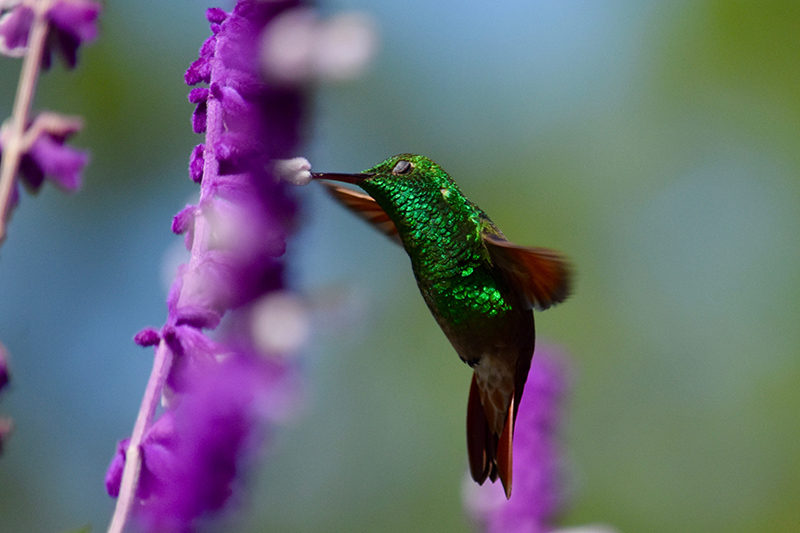 Eduardo Torreblanca Galdámez 