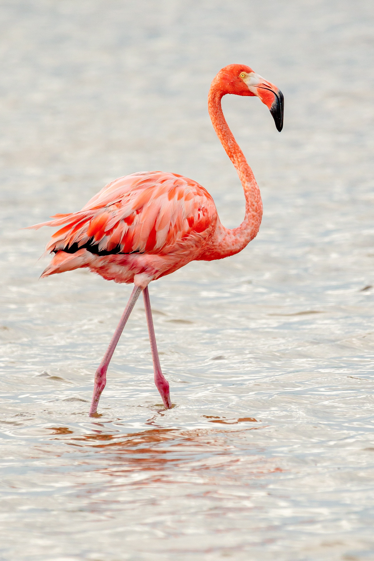 foto:Natalia Díaz Alonso   - lo hecho en México
