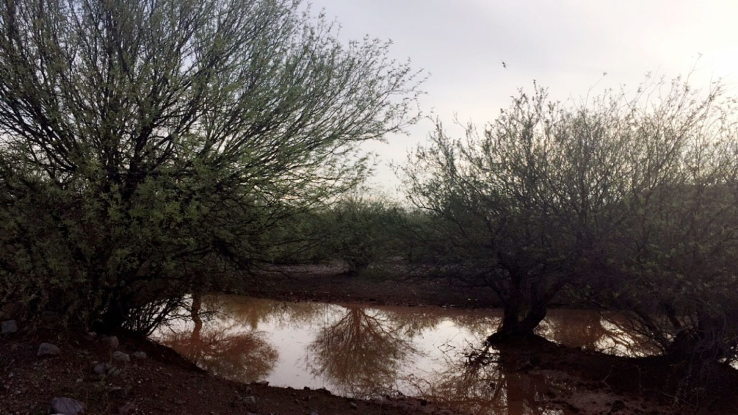 foto:Denisse Alejandra Torres Romero - lo hecho en México