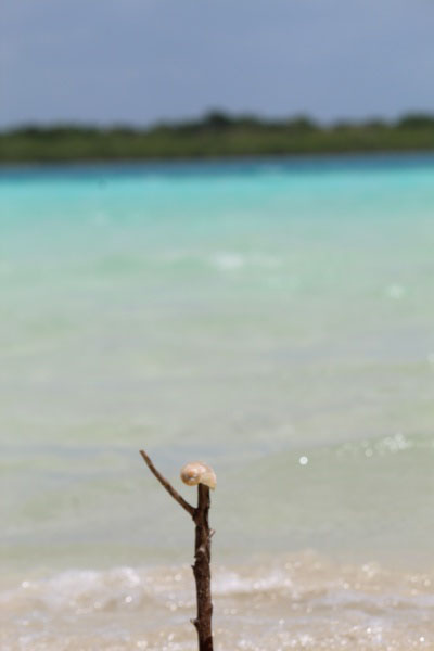 foto:Alfredo de Jesús Burgos Fuentes  - lo hecho en México