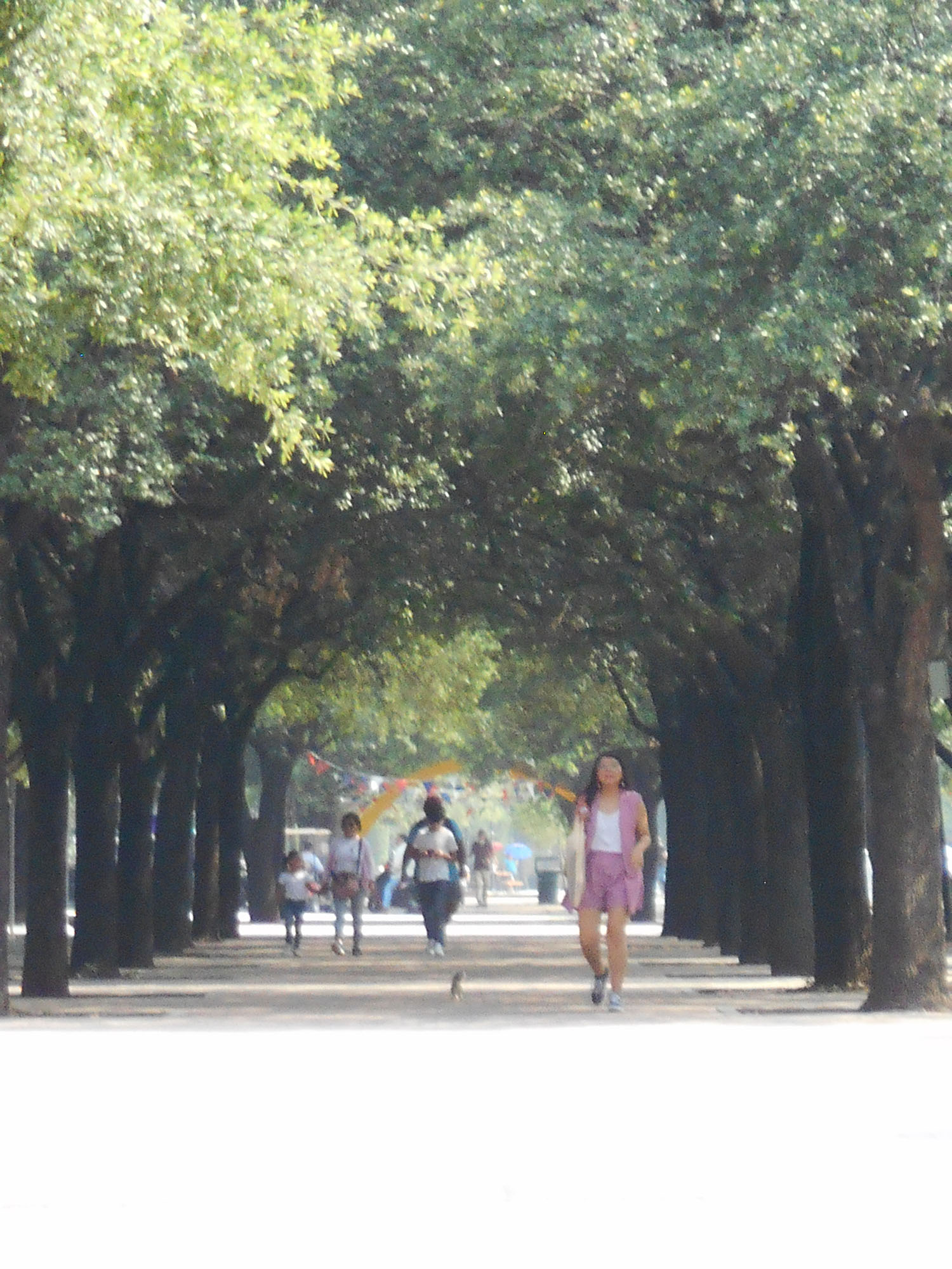 foto:Luis Daniel Lara Villa  - lo hecho en México