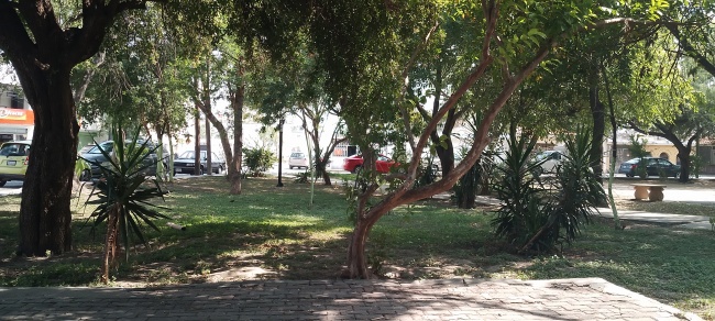 foto:Gerardo Nicolás Rodriguez Reyes  - lo hecho en México