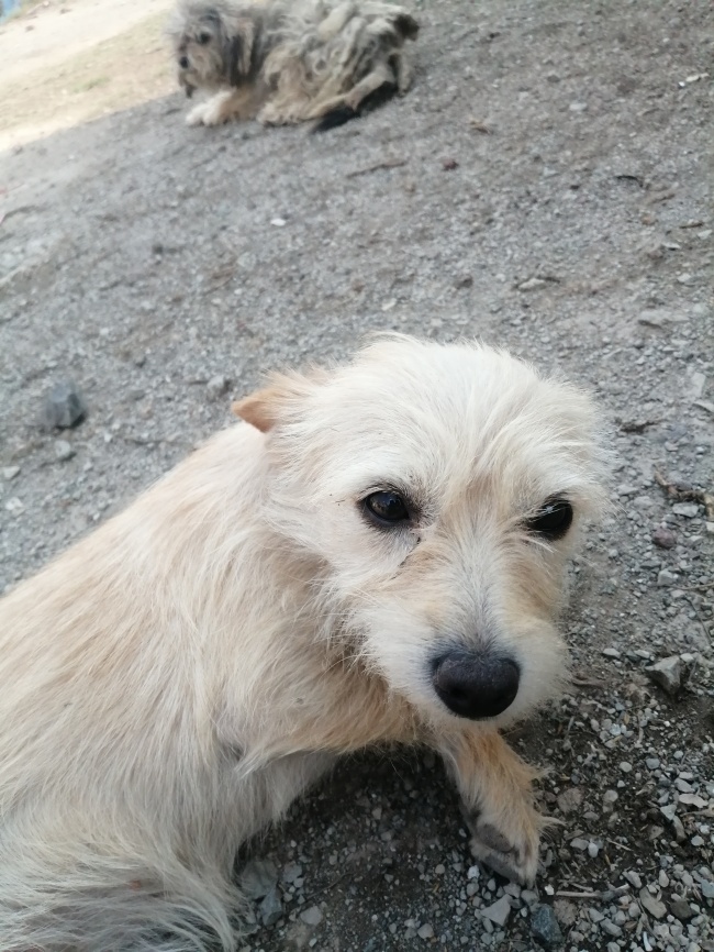 foto:Angel Ismael Islas López  - lo hecho en México