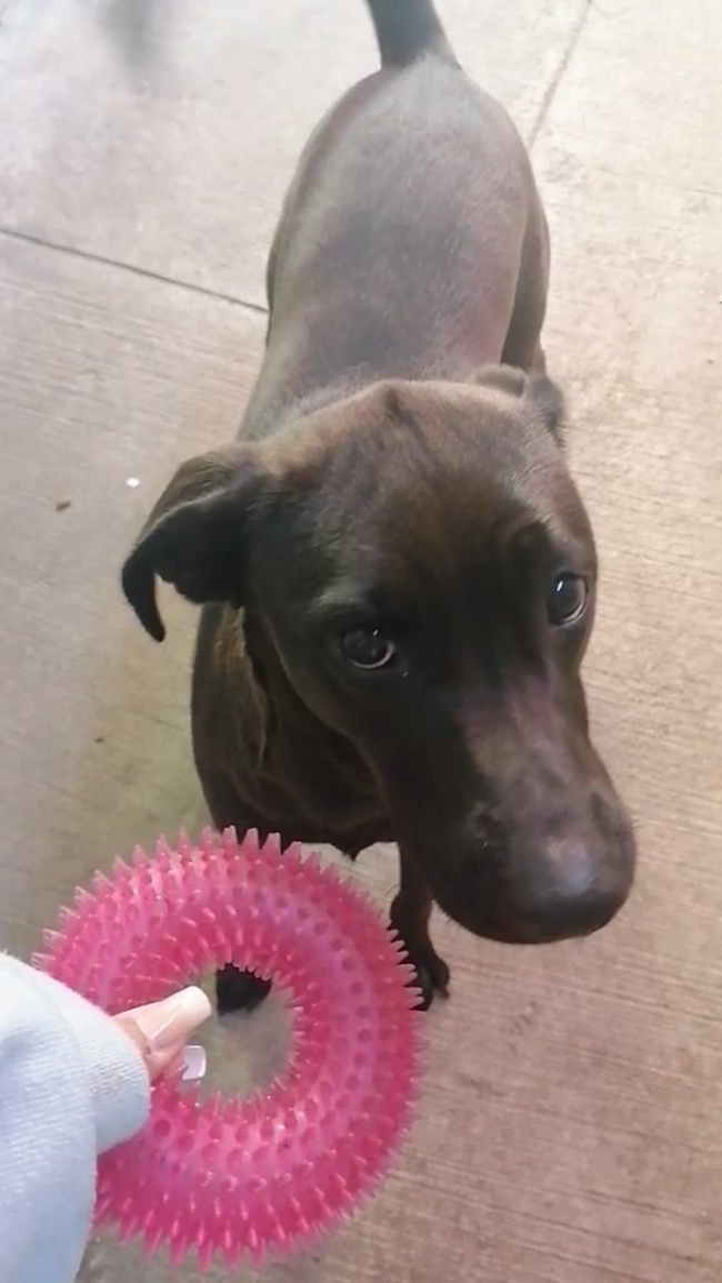 foto:Carlota Elizabeth Barajas Aguirre   - lo hecho en México