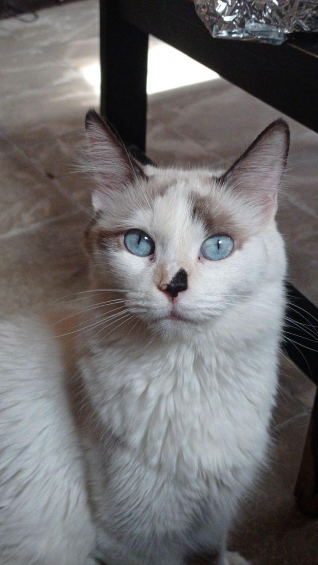 foto:Byron Sebastian Pequeño Arciva   - lo hecho en México