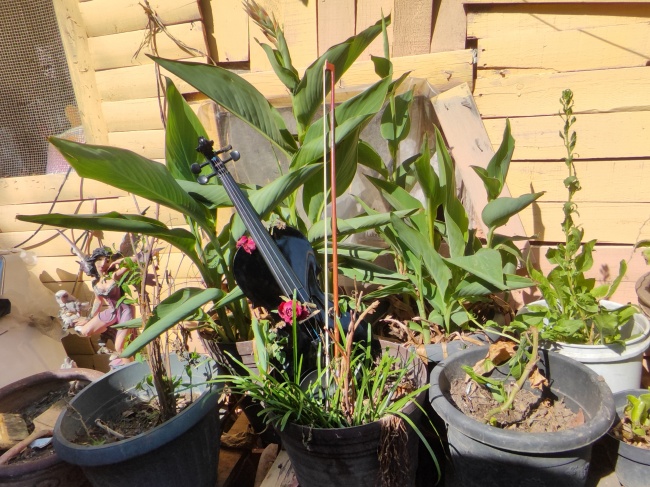 foto:Melanie Yazmin Gutierrez Valdez  - lo hecho en México