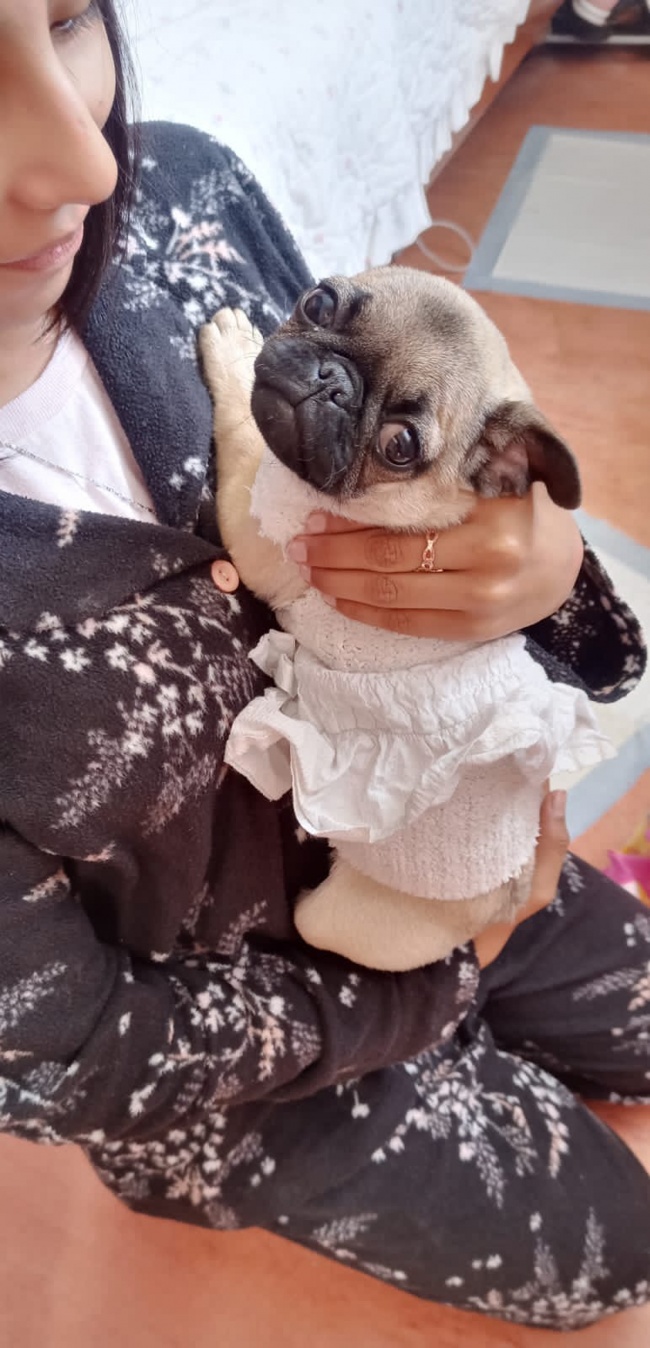 foto:Bruno Anselmo Urrutia   - lo hecho en México