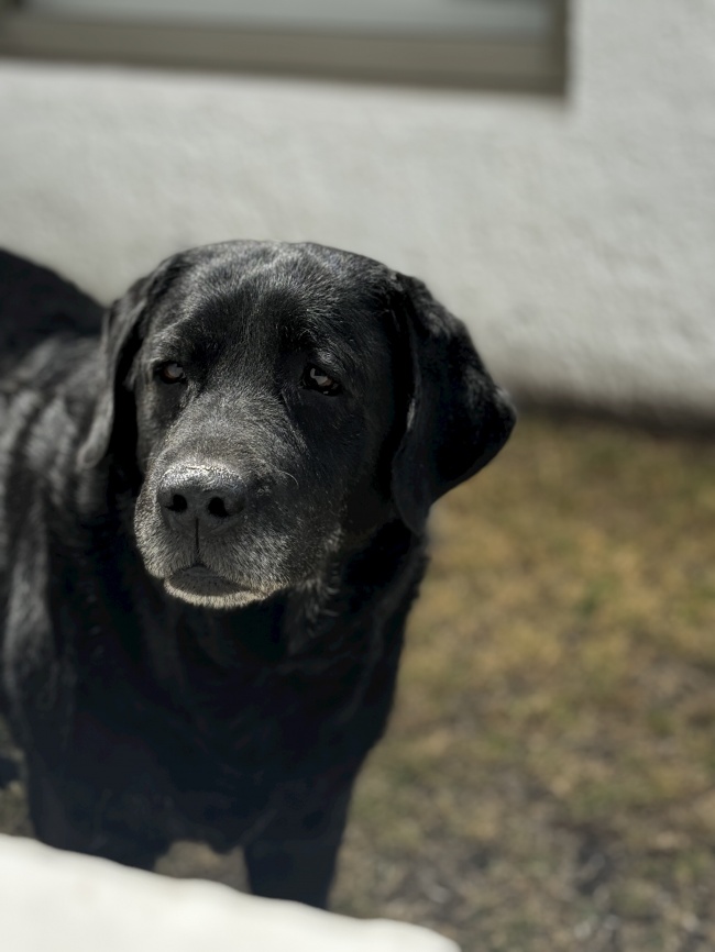 foto:Aitana Rivadeneyra Vargas   - lo hecho en México
