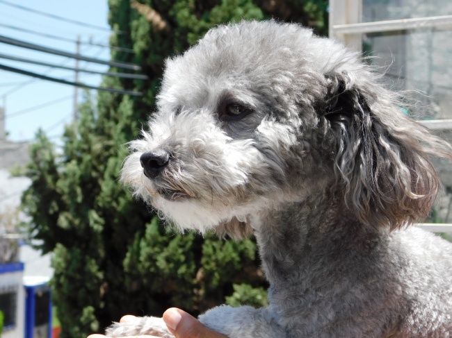 foto:Ian Sebastian Chávez Osio  - lo hecho en México