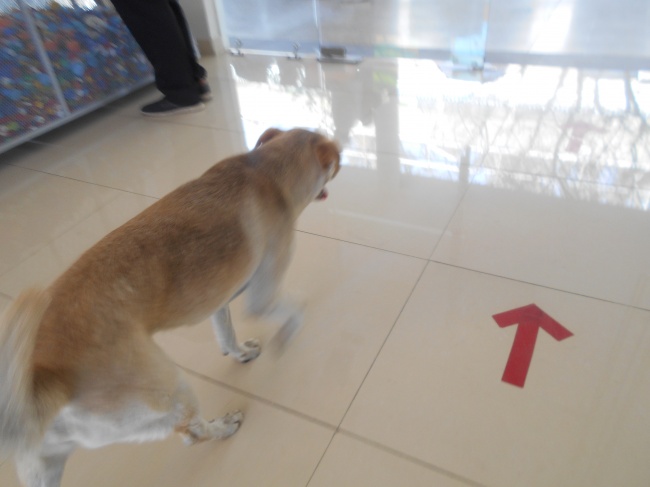 foto:Grettel Tinoco Díaz  - lo hecho en México