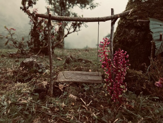 foto:Salvador Peralta Artezan  - lo hecho en México