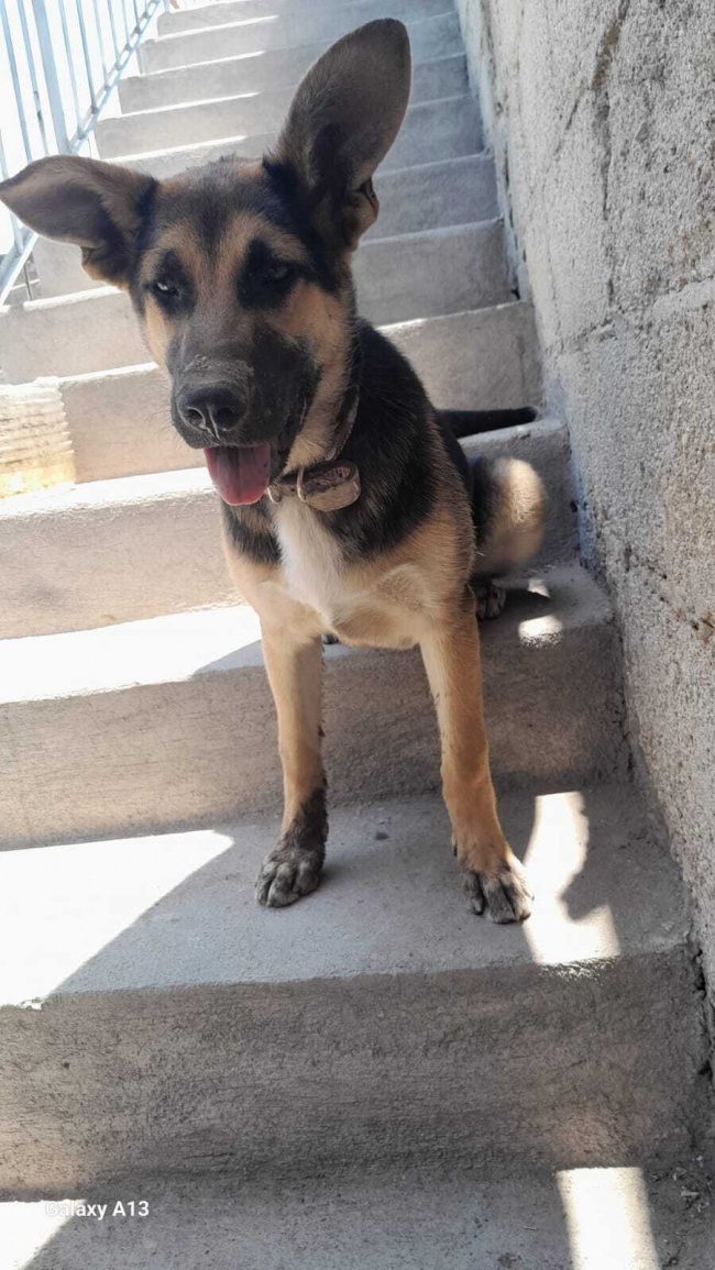 foto:Evelin Roxana Aguayo López   - lo hecho en México