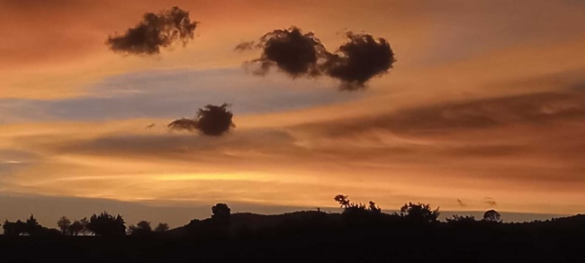 foto:José Nemecio Pozos Llanos   - lo hecho en México