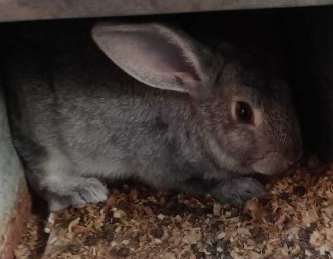 foto:Issac Valencia Rodríguez   - lo hecho en México