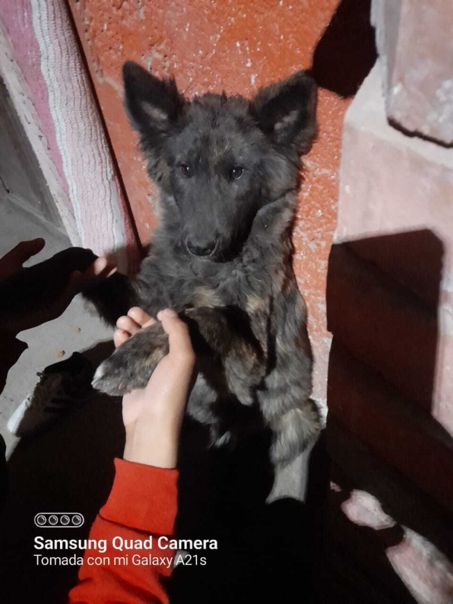 foto:Cristian Fuentes Fernández   - lo hecho en México