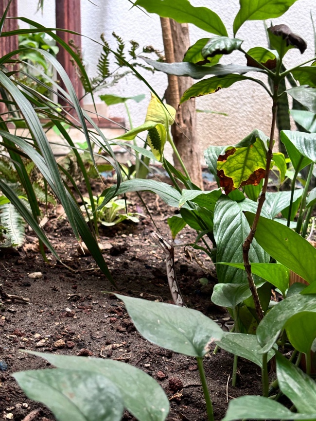 foto:David rivera  - lo hecho en México