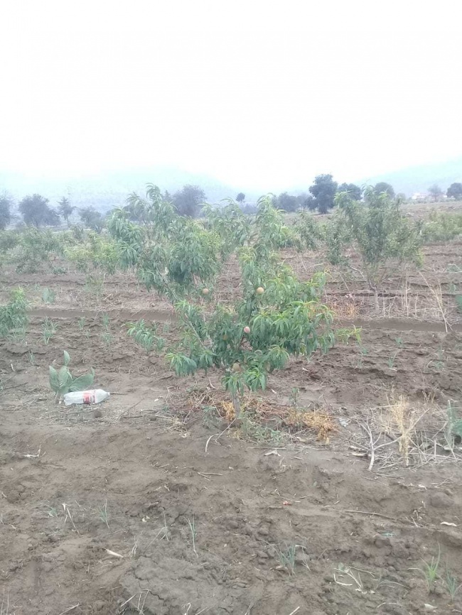 foto:Juan Alexis Fuentes Luna   - lo hecho en México