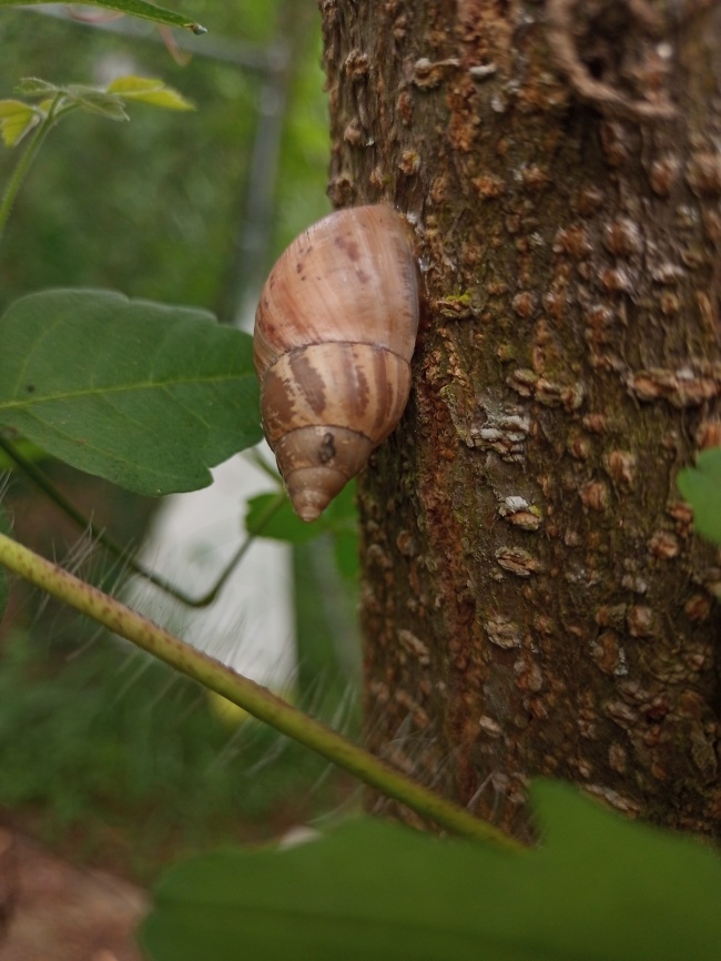 foto:Alan Rodrigo Rivera Cantú   - lo hecho en México