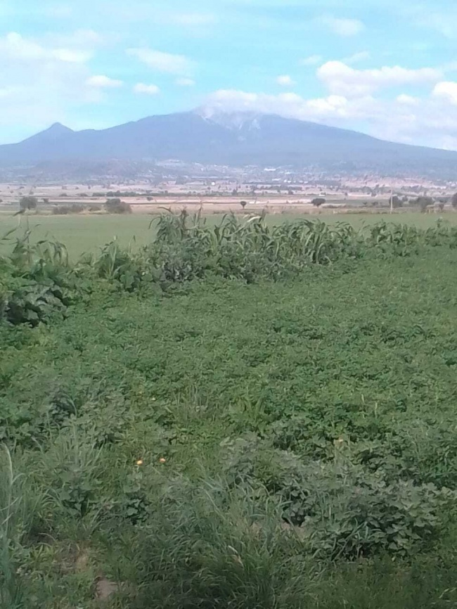 foto:Angel Miguel Degante  - lo hecho en México