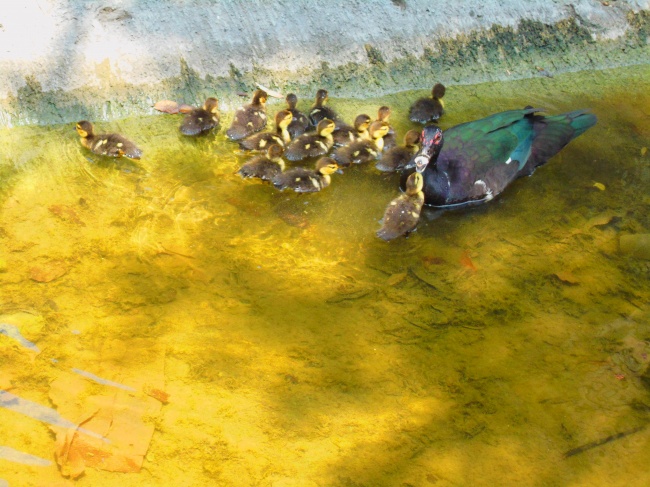 foto:Viridiana Aimeé Garza Lara - lo hecho en México