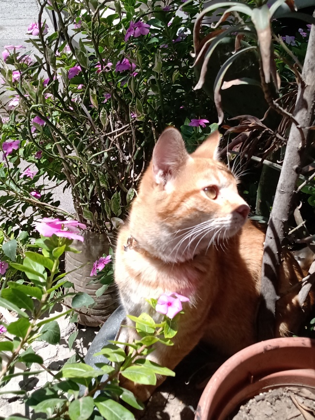 foto:Zahid Tadeo Moreno Ruiz  - lo hecho en México