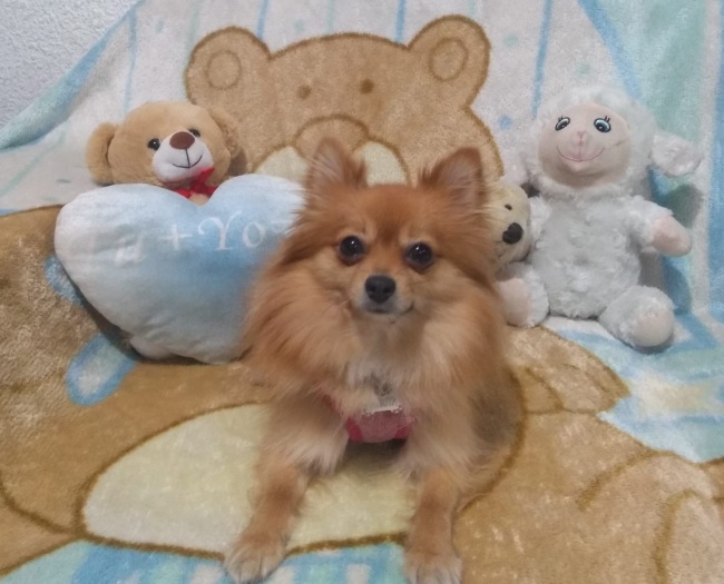 foto:Roberto Alexander Ramos Cavazos    - lo hecho en México