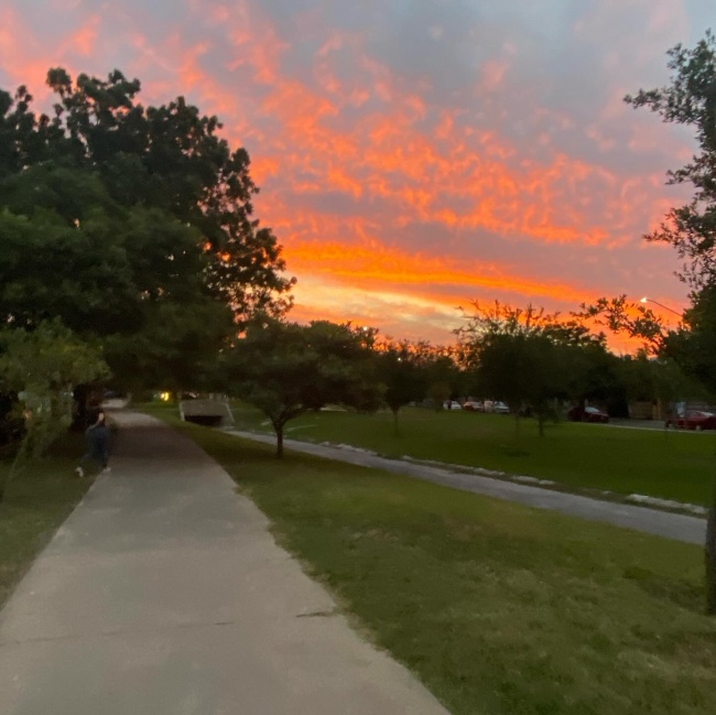 foto:Valeria Alejandra Hernández Alvarado   - lo hecho en México