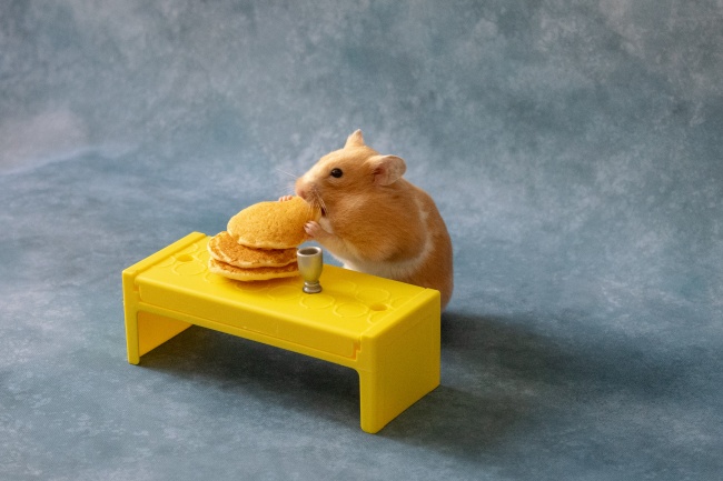 foto:Atena Sophia Diaz Sosa - lo hecho en México