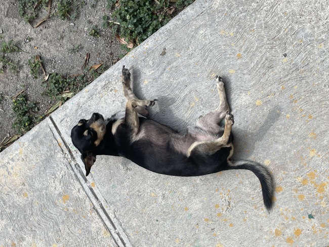 foto:Laura Guadalupe Cantú López   - lo hecho en México