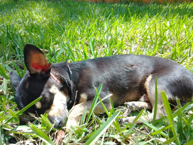 foto:Rafael Cantú López   - lo hecho en México