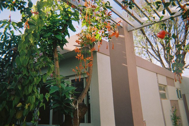 foto:Emmanuel Sanchez  - lo hecho en México