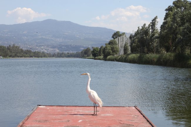 foto:Luis Alejandro Sánchez Montoya  - lo hecho en México