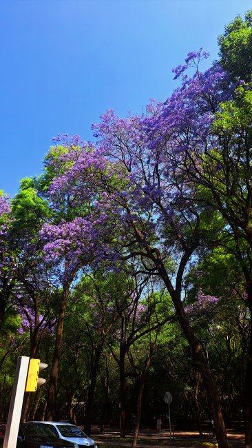 foto:Jacobo Nahum  - lo hecho en México