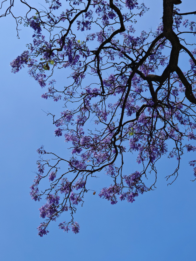 foto:Alicia Rodriguez  - lo hecho en México