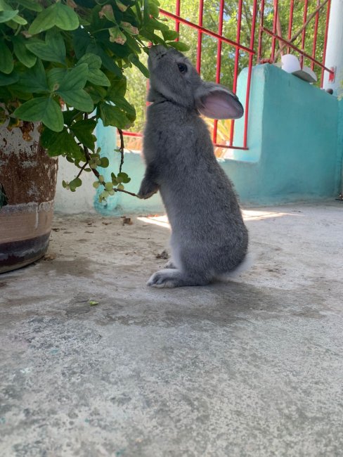 foto:Aida Guadalupe Barrientos Lara   - lo hecho en México