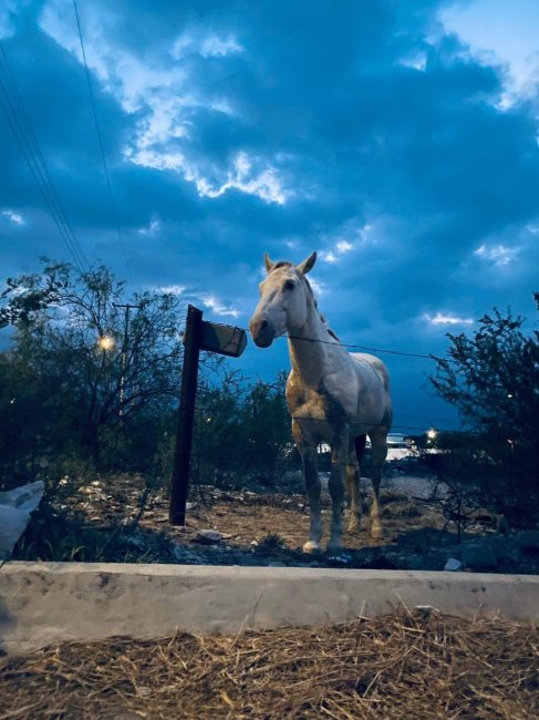 foto:ABRIL ALEXANDRA GARCIA CRUZ  - lo hecho en México