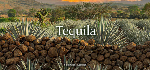 Tequila - foto Ulises Escobar