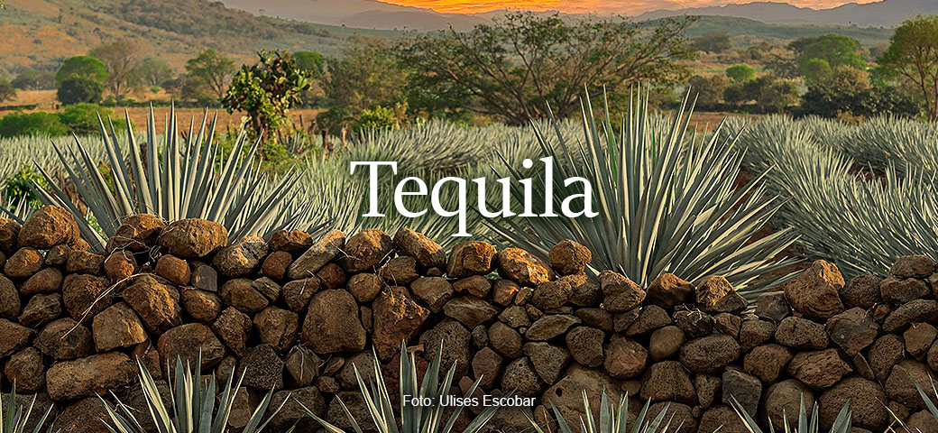 Tequila - foto Ulises Escobar