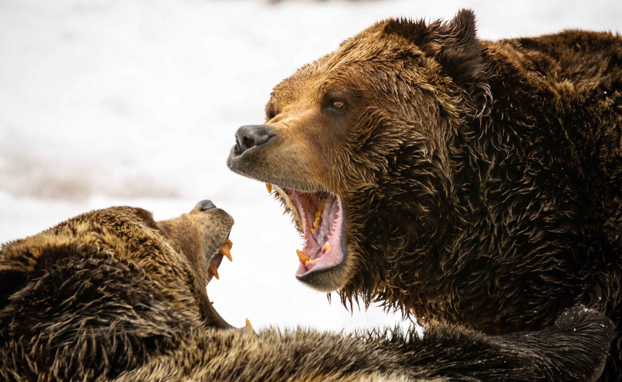 Día internacional para la protección de