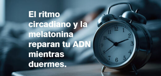Ritmo circadiano