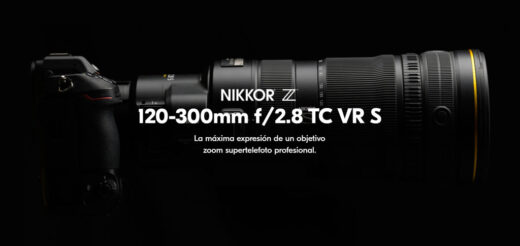 nikon 120-300mm
